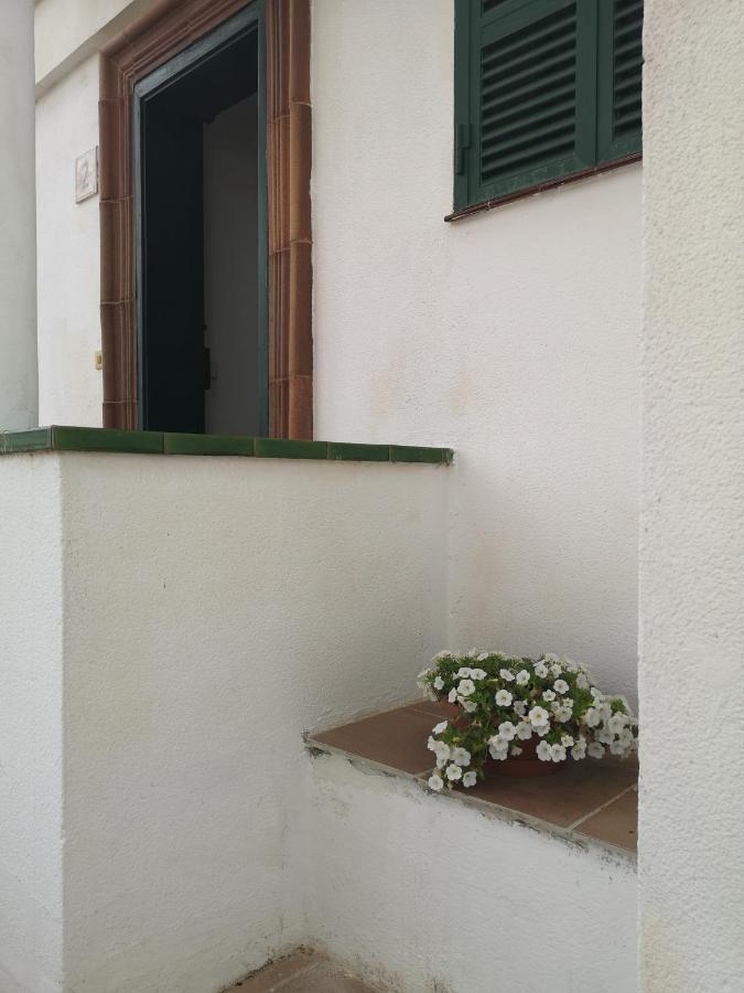 Toni'S Apartament Menorca 칼란 보쉬 외부 사진